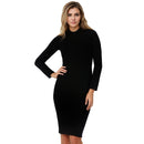 Elegant Long Sleeve Turtle Neck Dress 153052, Flint, Michigan, MI