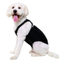 PRODOGG™ Anti-Anxiety Compression Shirt - Small - Medium 159101A, Seattle, Washington, WA