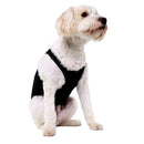 PRODOGG™ Anti-Anxiety Compression Shirt - Small - Medium 159101A, Hopkinsville, Kentucky, KY