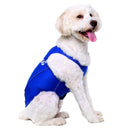 PRODOGG™ Anti-Anxiety Compression Shirt - Small - Medium 159101A, Springfield, Oregon, OR