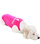 PRODOGG™ Anti-Anxiety Compression Shirt - Small - Medium 159101A, Clarksville, Tennessee, TN