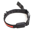 PRODOGG™ LED COLLAR, USB RECHARGEABLE 195203, Huntington Beach, California, CA