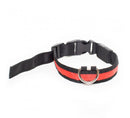 PRODOGG™ LED COLLAR, USB RECHARGEABLE 195203, Aiken, South Carolina, SC