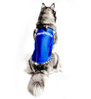 PRODOGG™ ANTI-ANXIETY COMPRESSION SHIRT FOR 3XL-5XL 159101C, Radcliff, Kentucky, KY