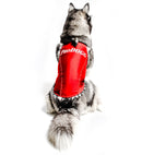 PRODOGG™ ANTI-ANXIETY COMPRESSION SHIRT FOR 3XL-5XL 159101C, Gresham, Oregon, OR