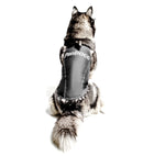 PRODOGG™ ANTI-ANXIETY COMPRESSION SHIRT FOR 3XL-5XL 159101C, St. Peters, Missouri, MO