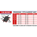 PRODOGG™ LED COLLAR, USB RECHARGEABLE 195203, Tualatin, Oregon, OR