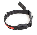 PRODOGG™ LED COLLAR, USB RECHARGEABLE 195203