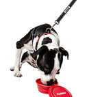 PRODOGG™ RED COLLAPSIBLE WATER BOWL WITH WHITE LOGO 195201