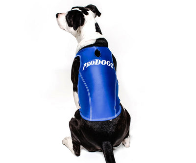 PRODOGG™ Anti-Anxiety Compression Shirt - Large to 2XL 159101B, Avondale, Arizona, AZ