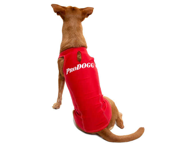 PRODOGG™ Anti-Anxiety Compression Shirt shown in Red on a Golden Retriever, demonstrating a snug fit and calming effect. - Large to 2XL 159101B, Lakewood, Ohio, OH
